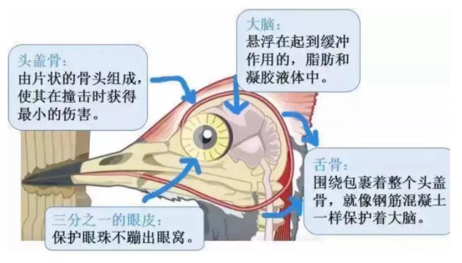 昆明安全帽，安全買冷知識你知道嗎？